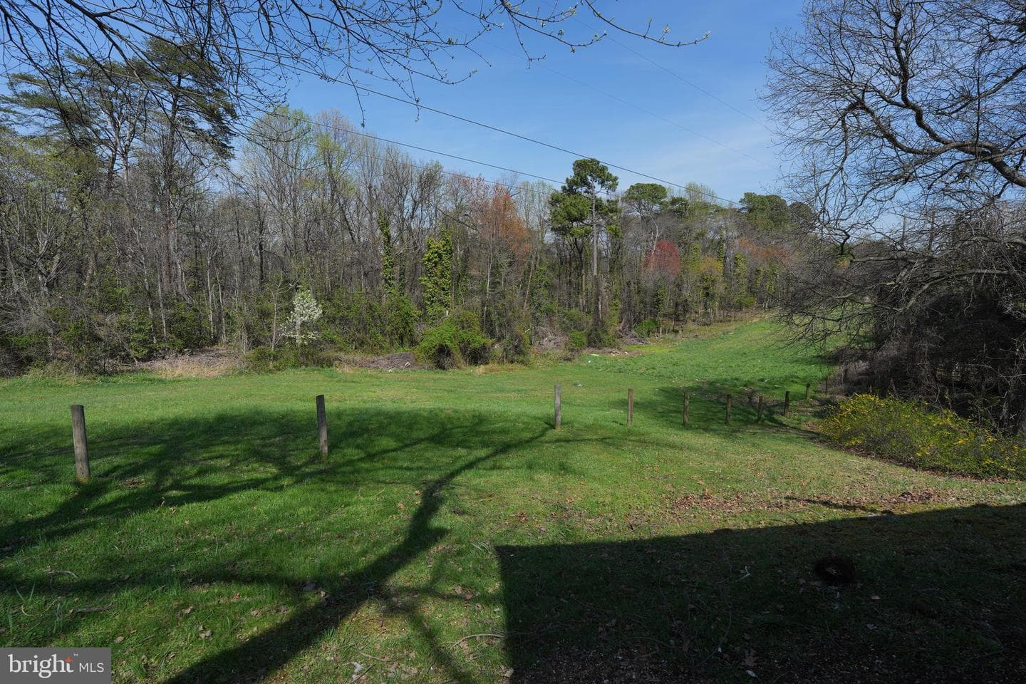 18 Magnolia Avenue photo 40