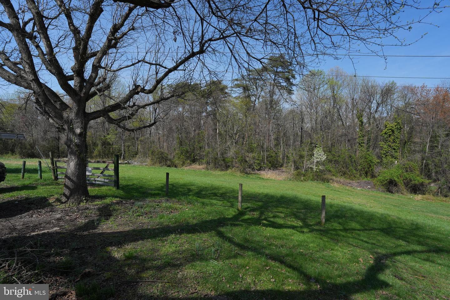 18 Magnolia Avenue photo 41
