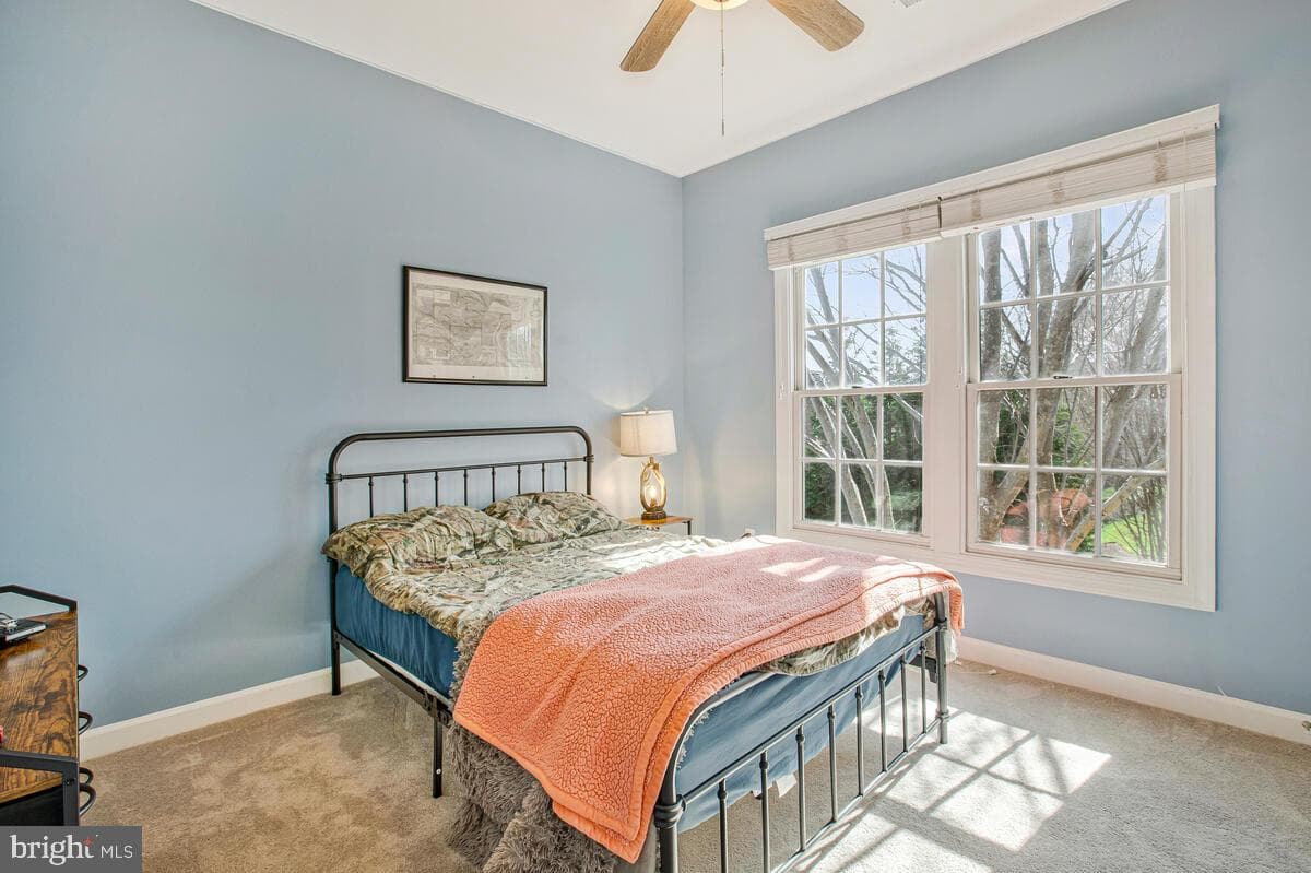 3421 Swallowtail Court photo 45