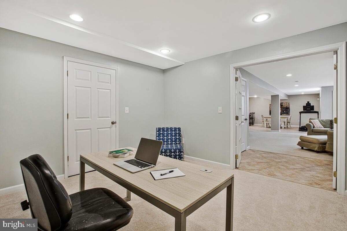 3421 Swallowtail Court photo 56