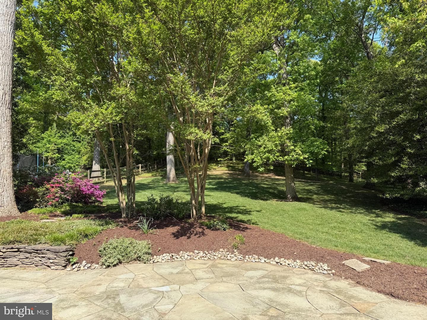 1041 Placid Court photo 49