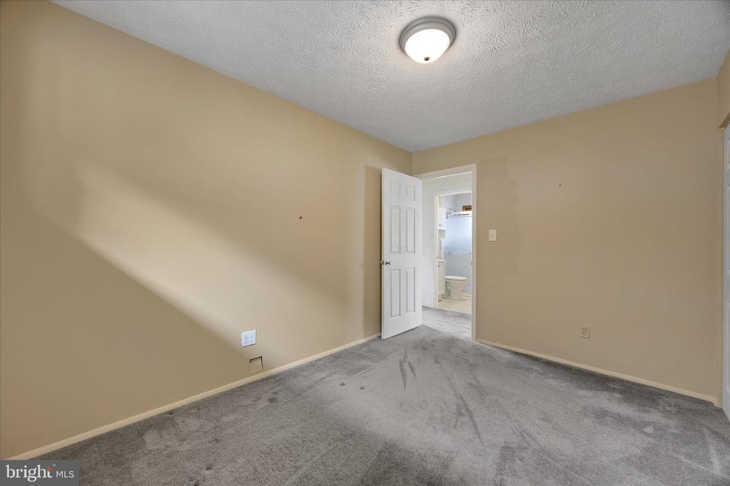 1015 Phillip Drive photo 17