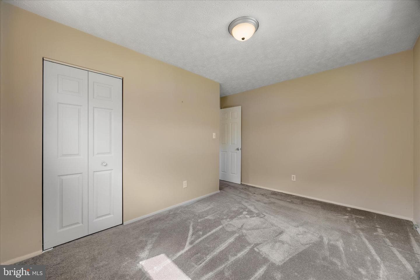 1015 Phillip Drive photo 19