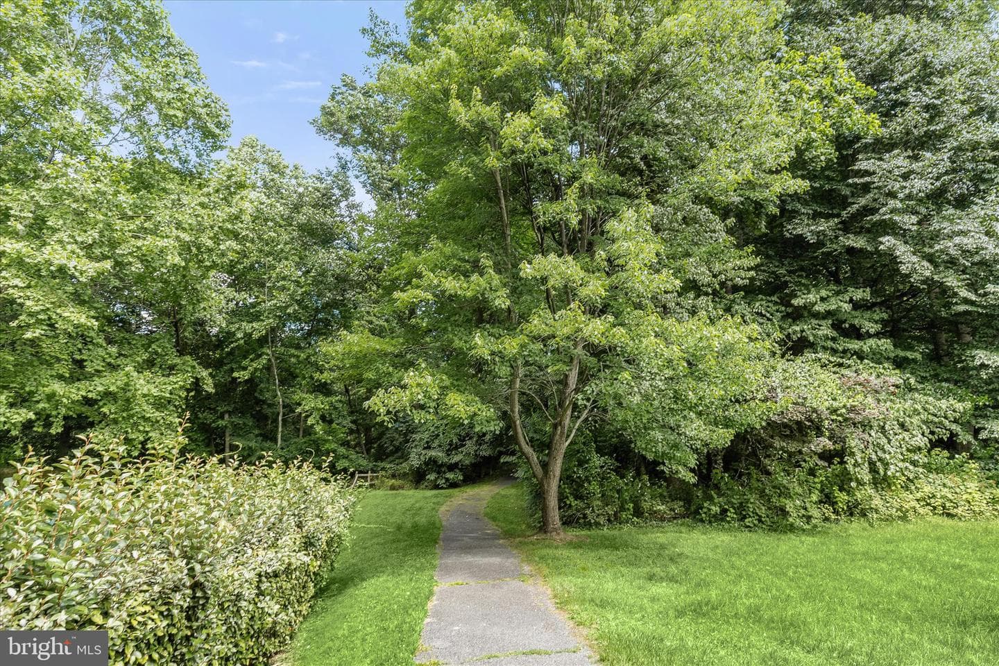 3553 Floating Leaf Lane #d201 photo 28