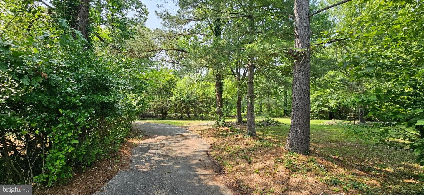 1110 Cherry Point Road photo 10