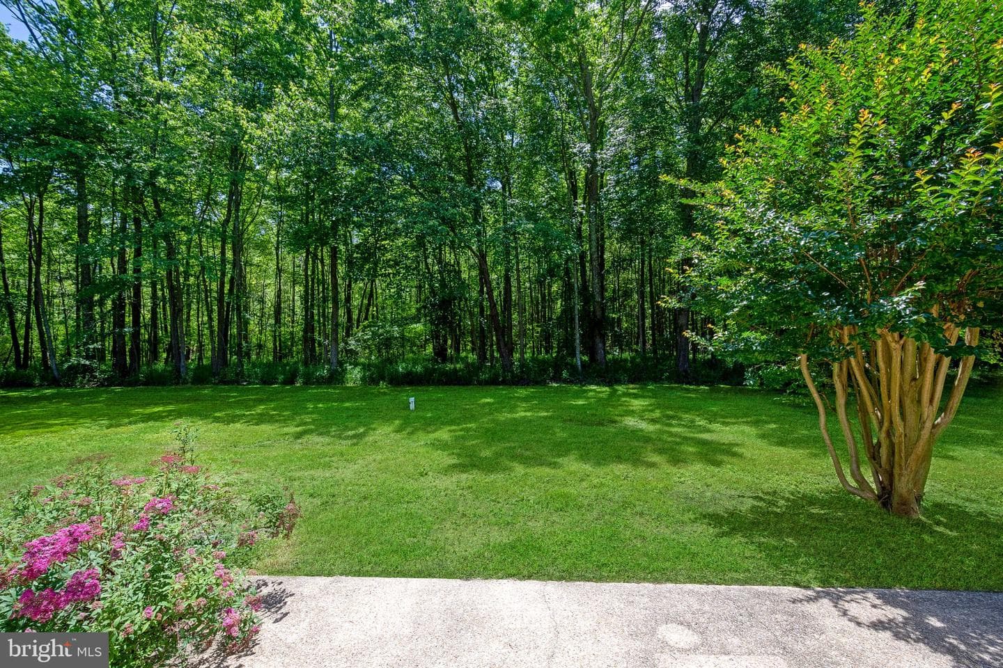 1469 Cedarhurst Road photo 3