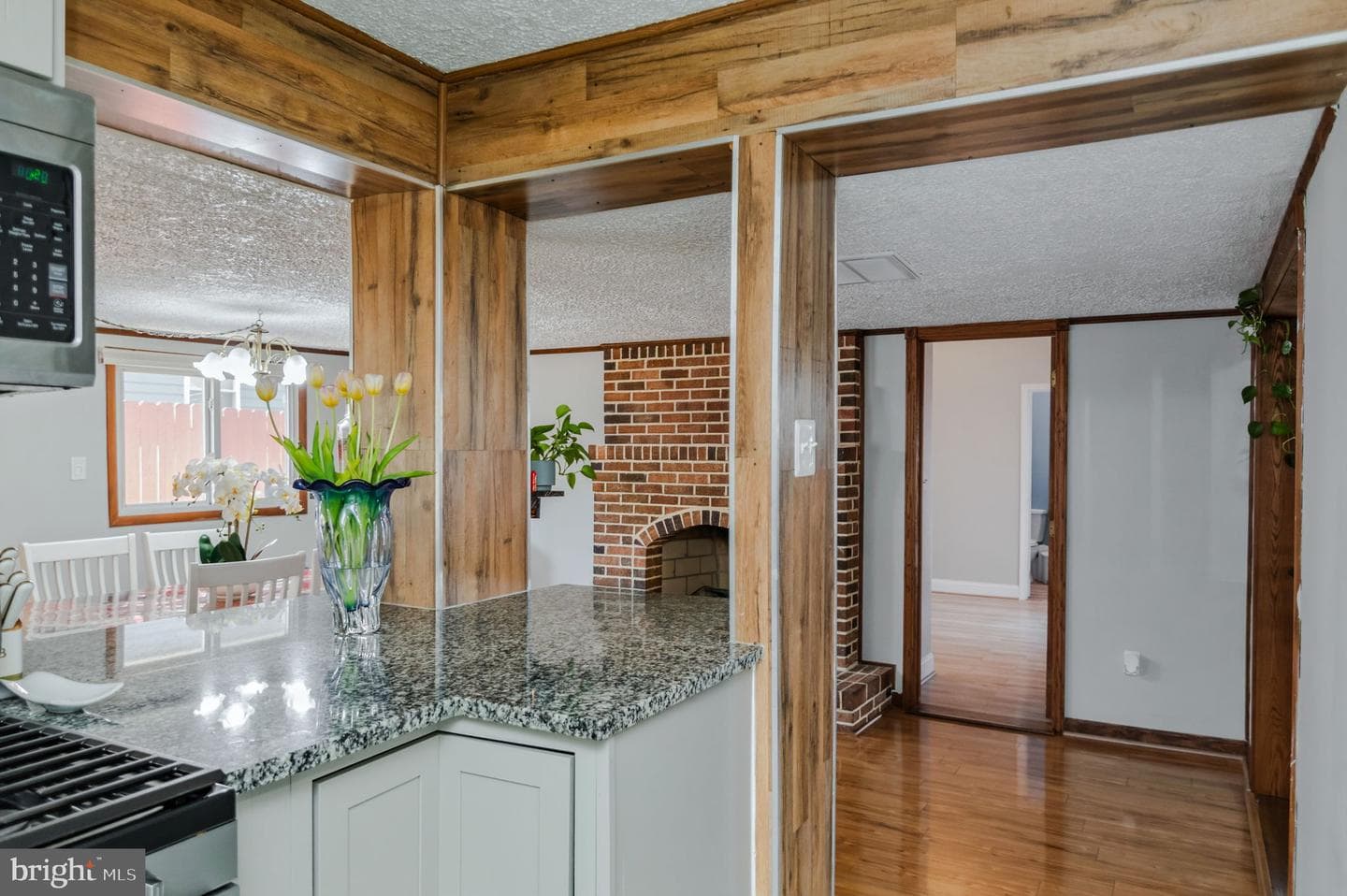 224 Carroll Road photo 13