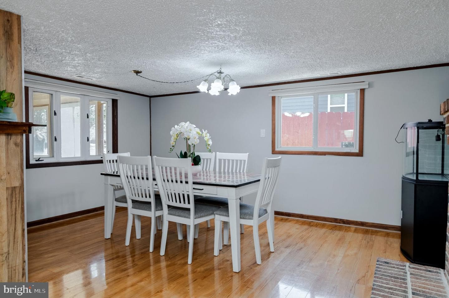 224 Carroll Road photo 16