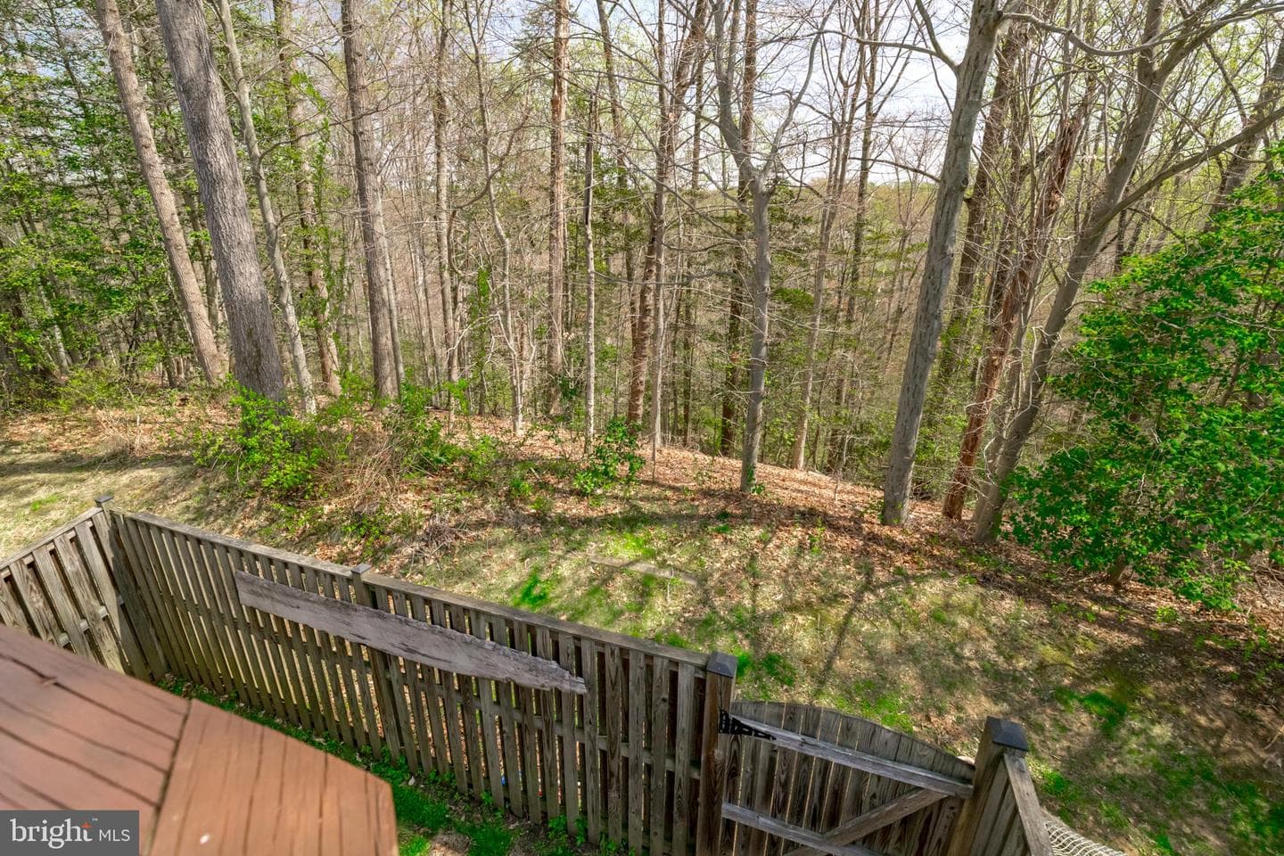 611 Bellerive Court photo 19