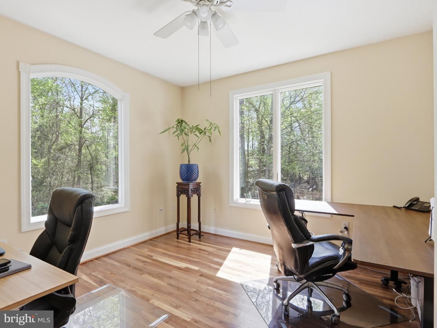 311 Riverdale Road photo 42