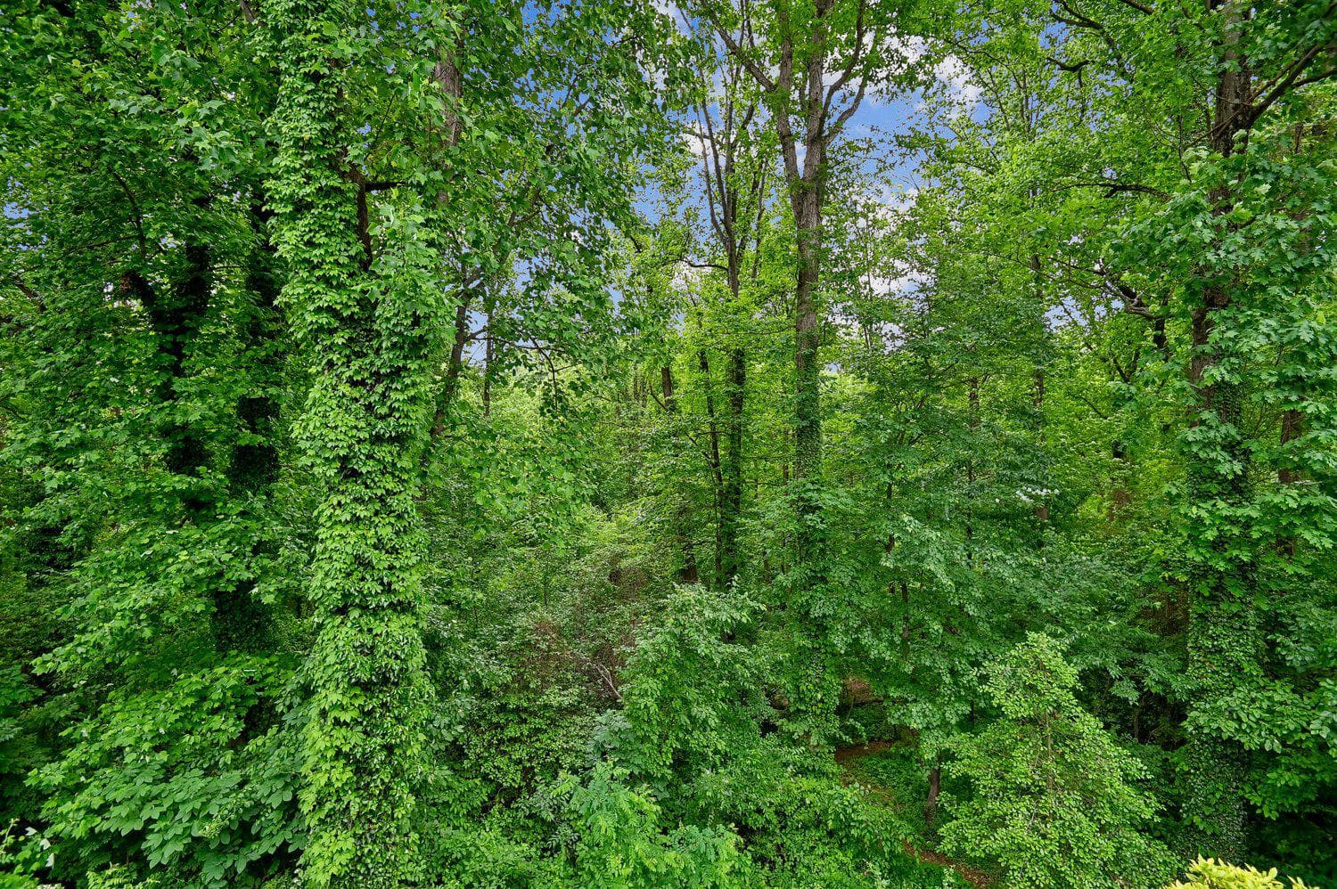 553 Bay Dale Court photo 49