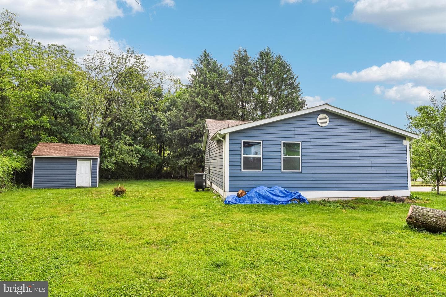 703 Cedar Avenue photo 18