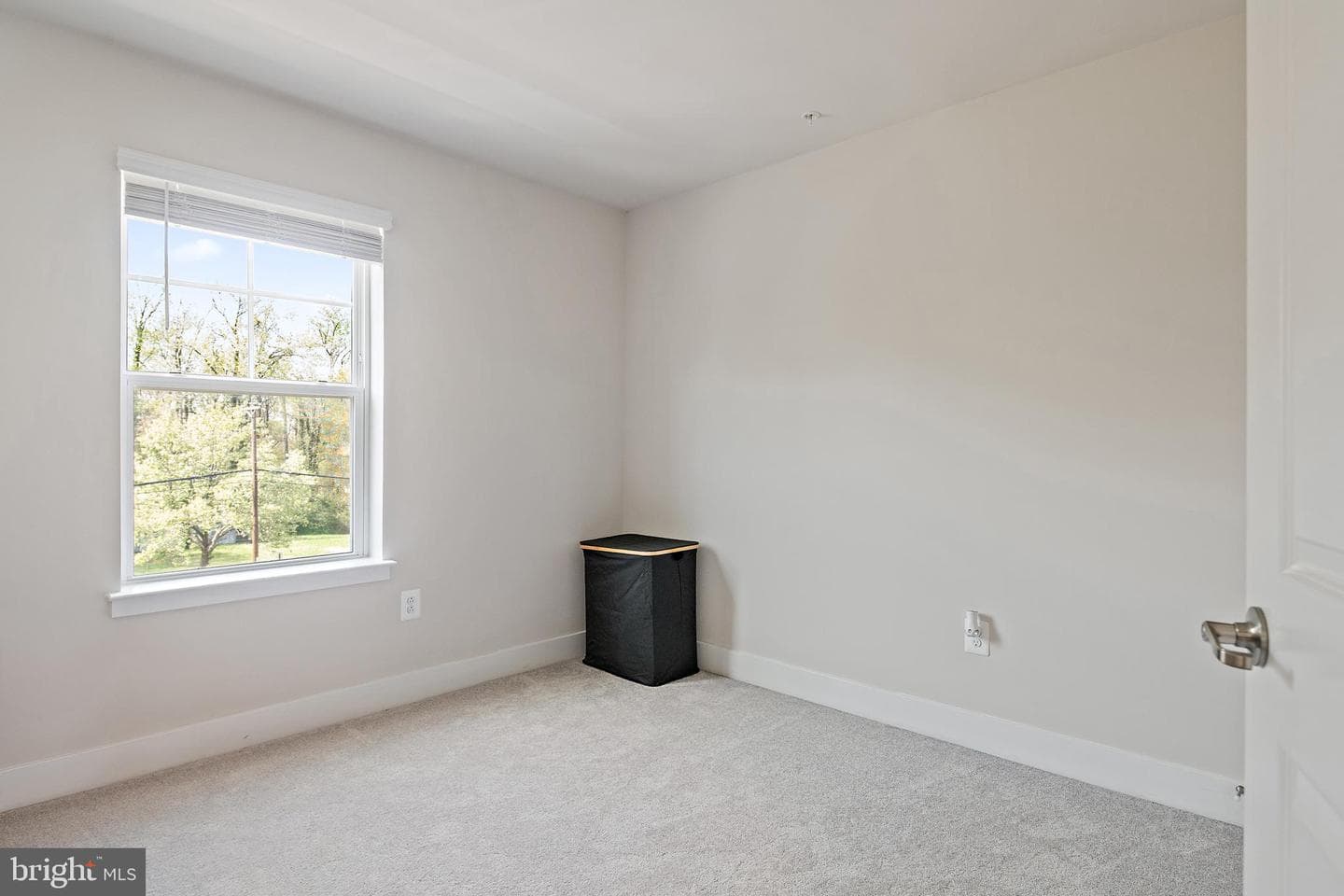 118 Treblis Way photo 34
