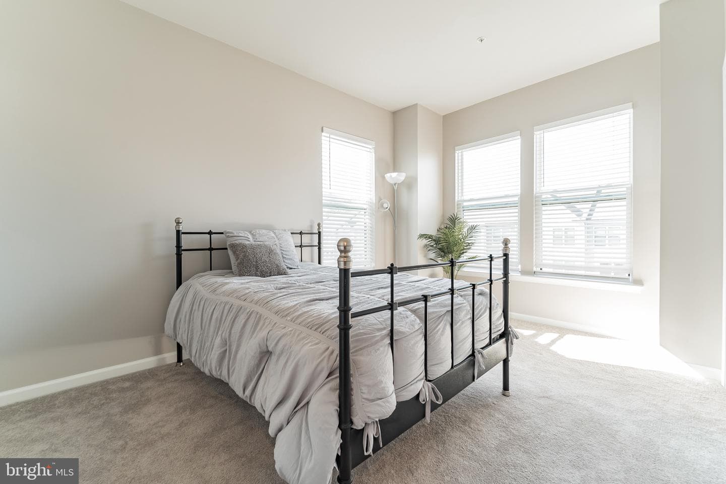 221 Narrowleaf Way photo 16