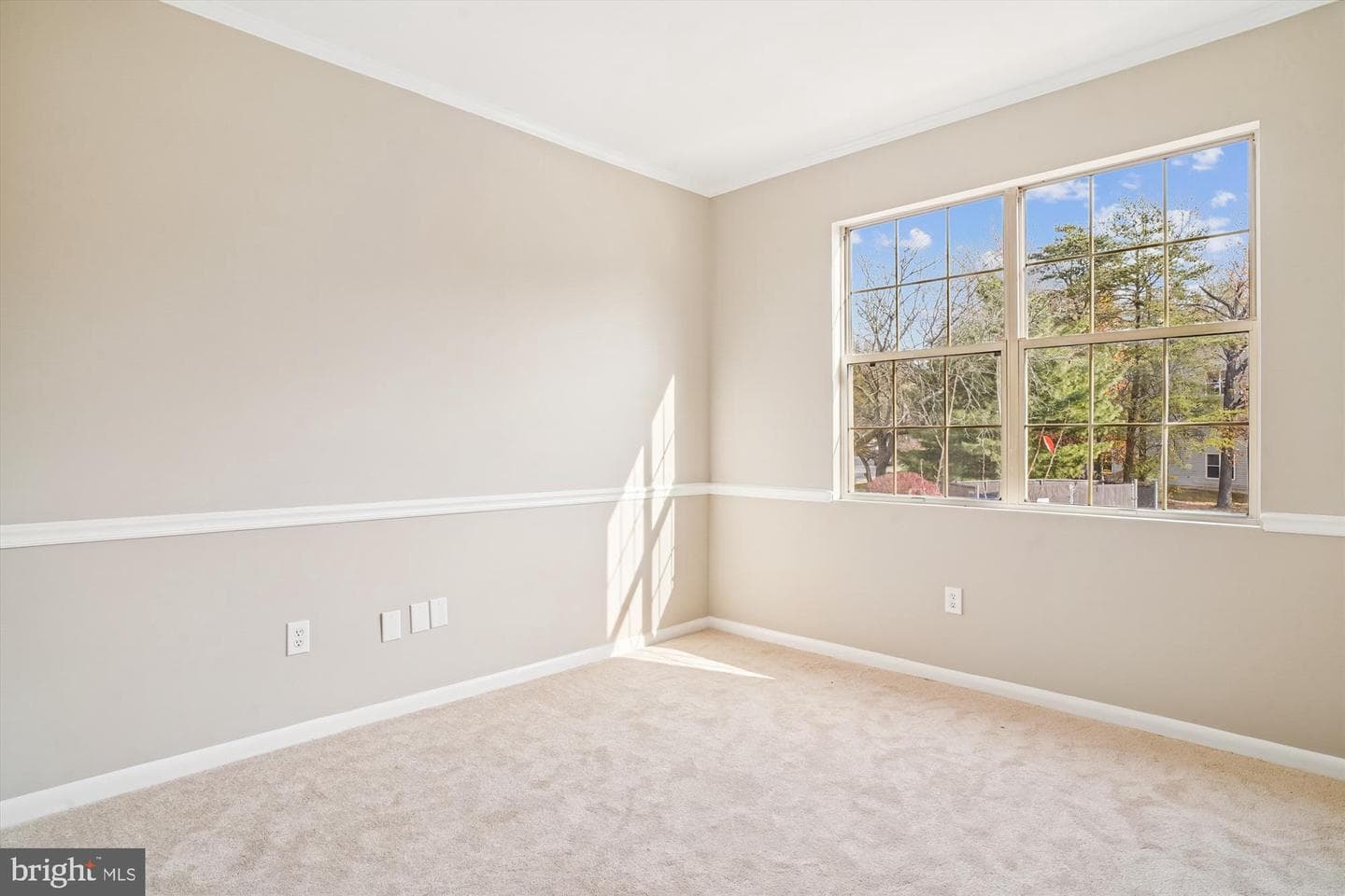 10 Sandstone Court photo 14