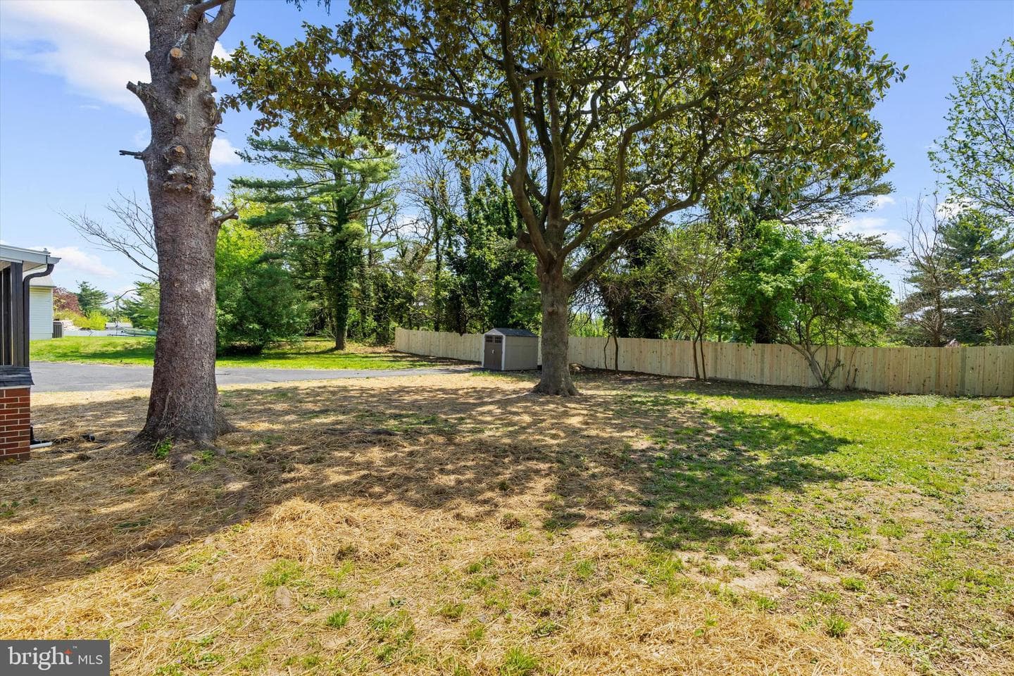 203 Walton Avenue photo 51