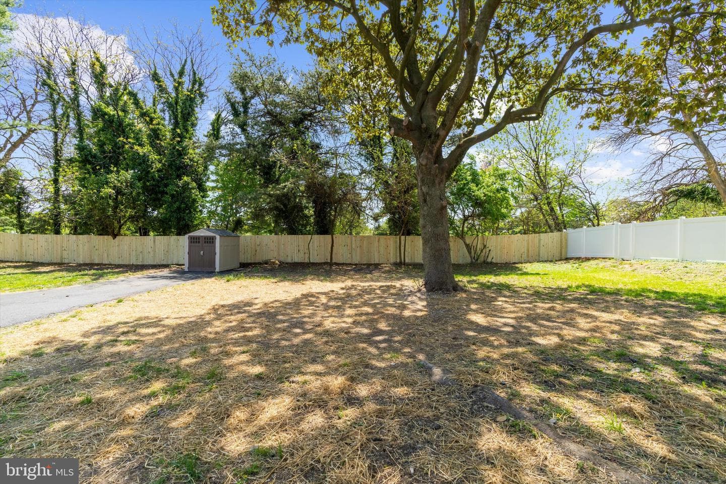 203 Walton Avenue photo 53