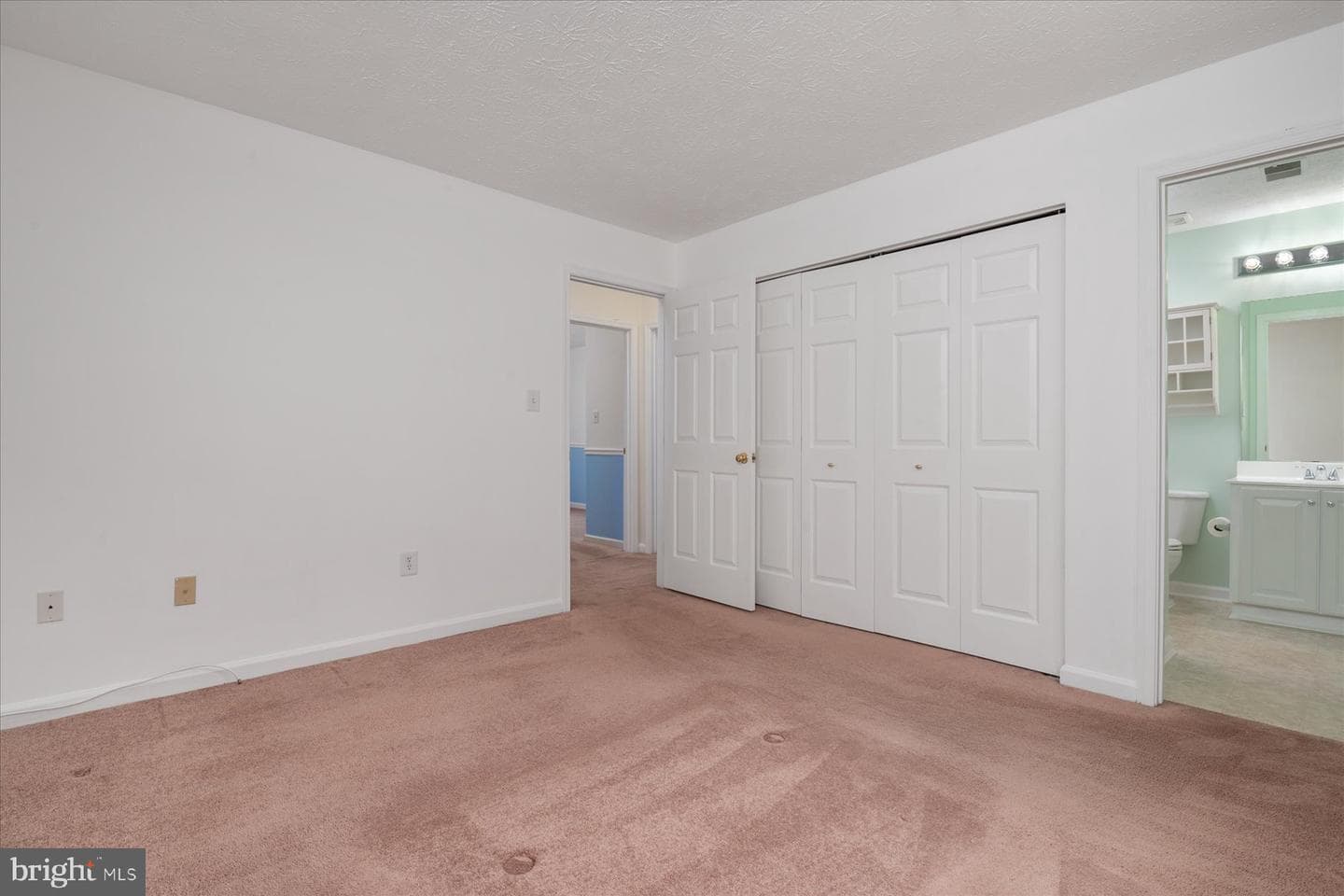 923 Deerberry Court photo 24