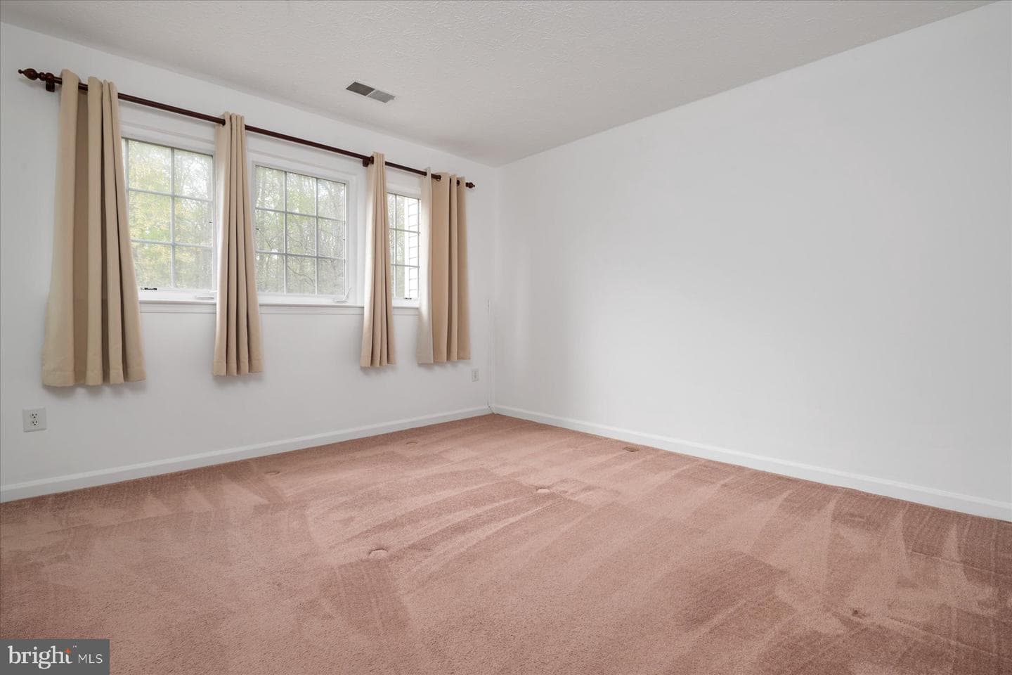 923 Deerberry Court photo 25