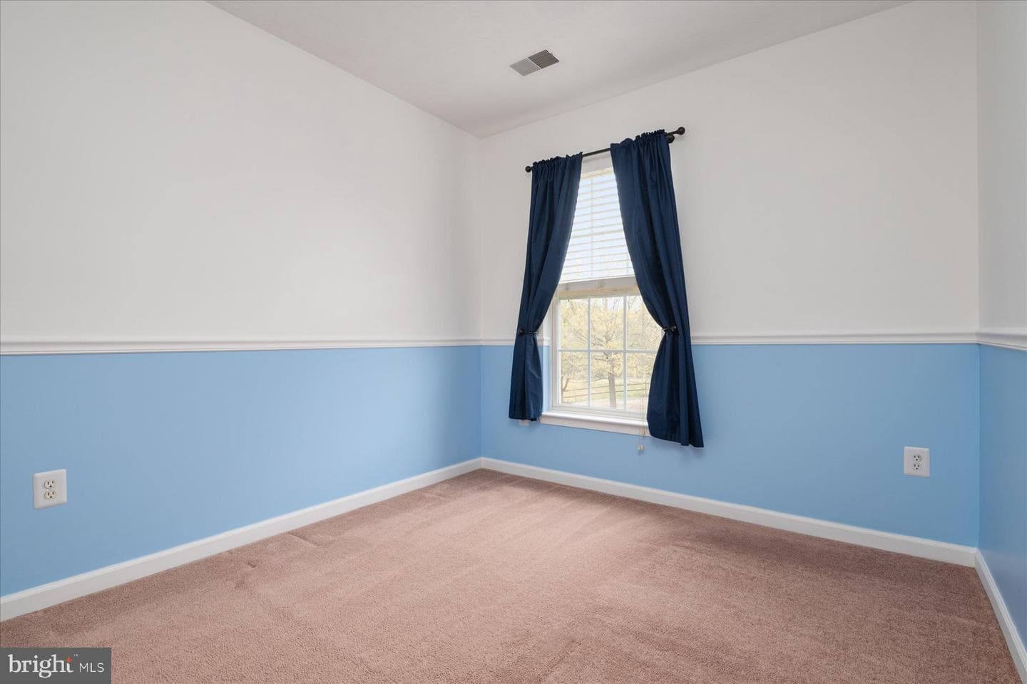 923 Deerberry Court photo 27