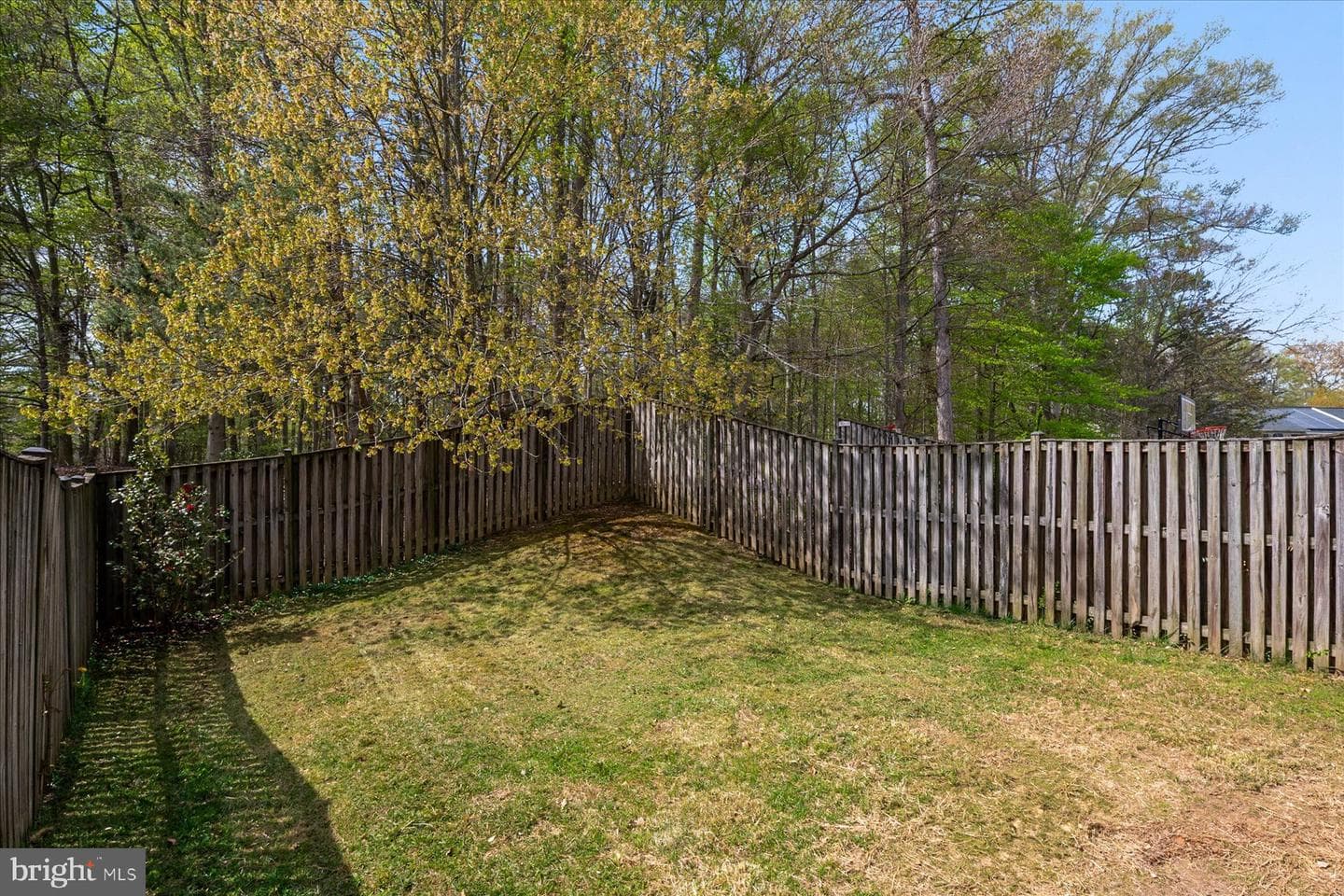 923 Deerberry Court photo 38