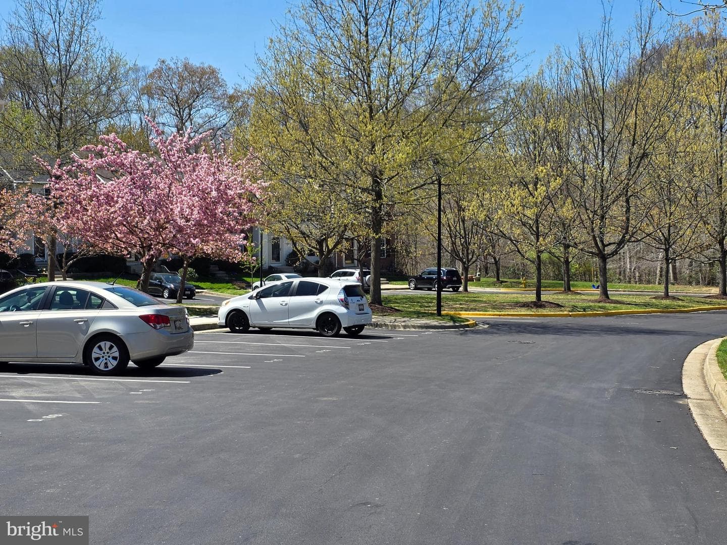 923 Deerberry Court photo 40