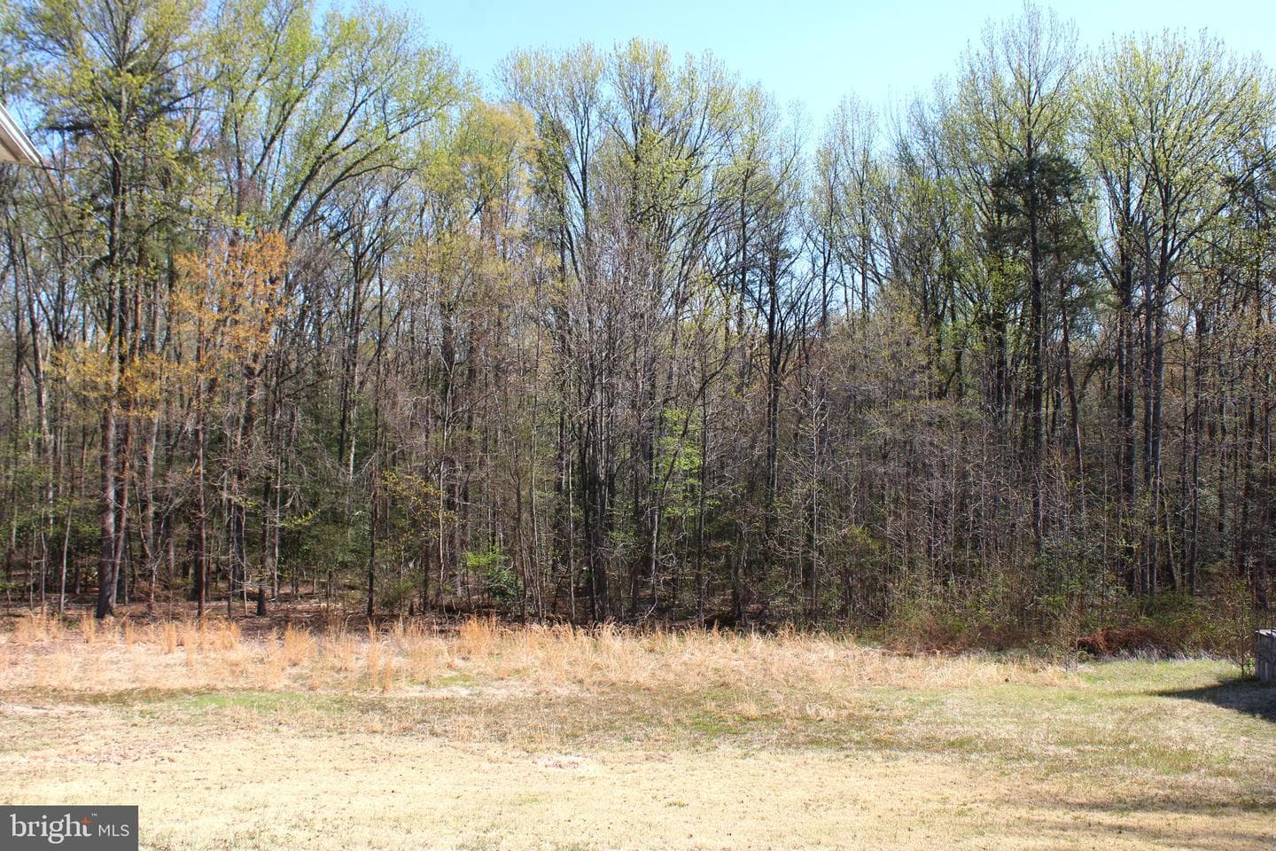 4346 Mountain Road photo 21