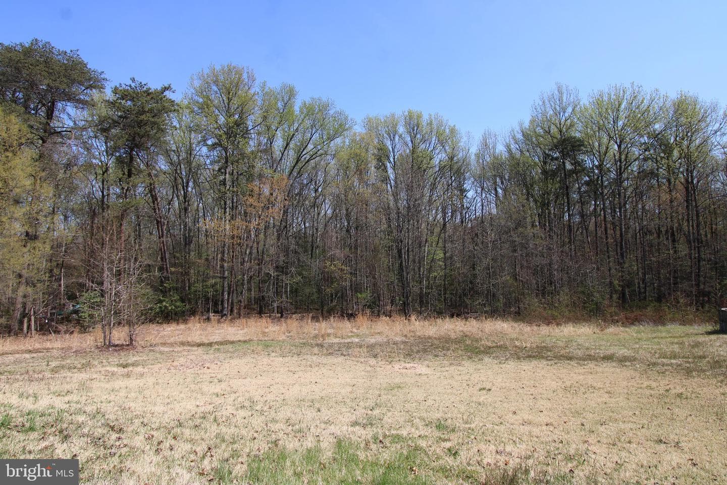 4346 Mountain Road photo 48