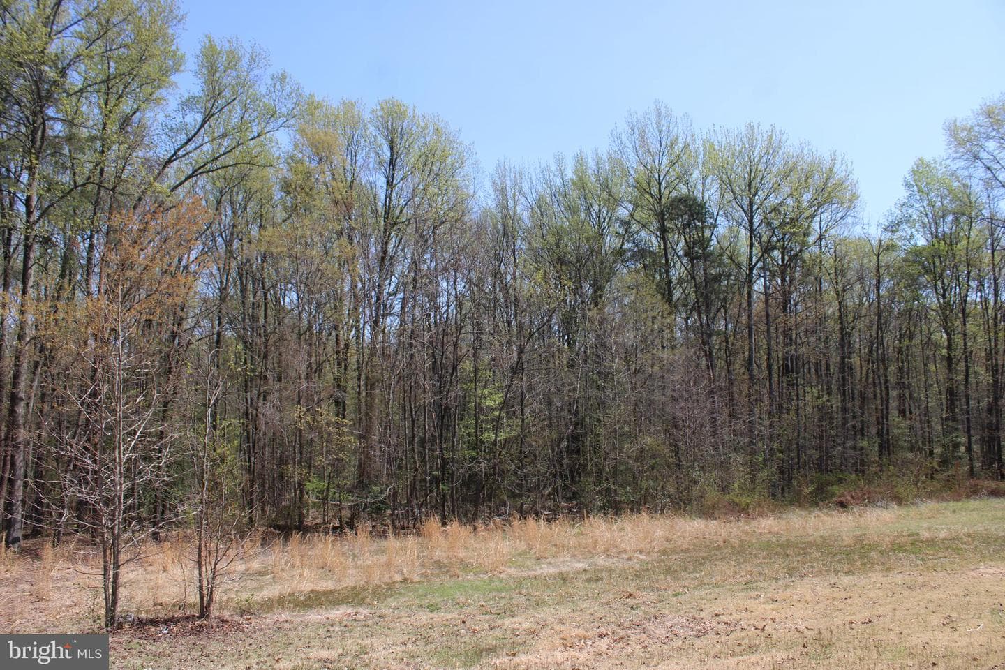 4346 Mountain Road photo 51