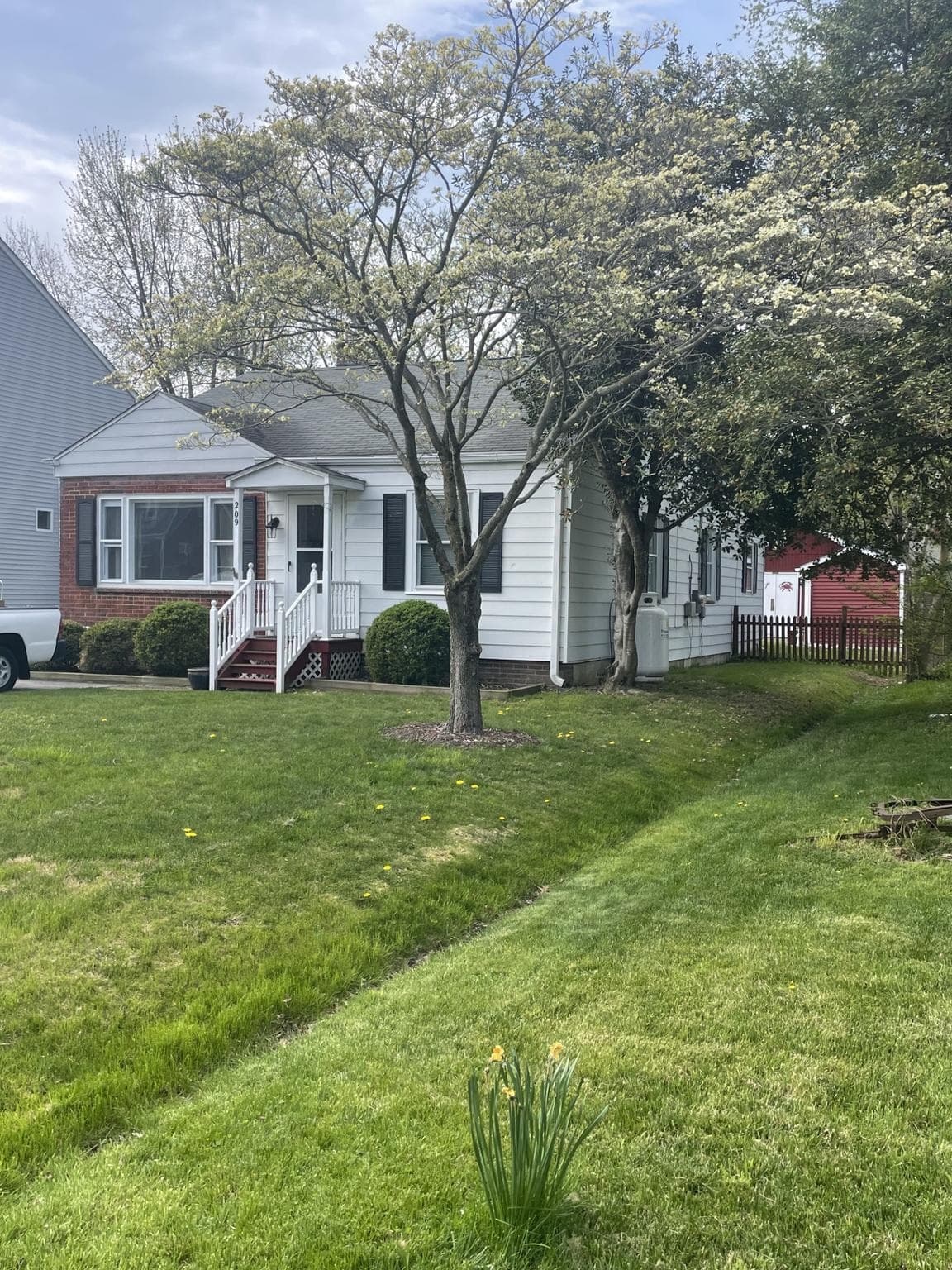 209 Beverley Avenue photo 8