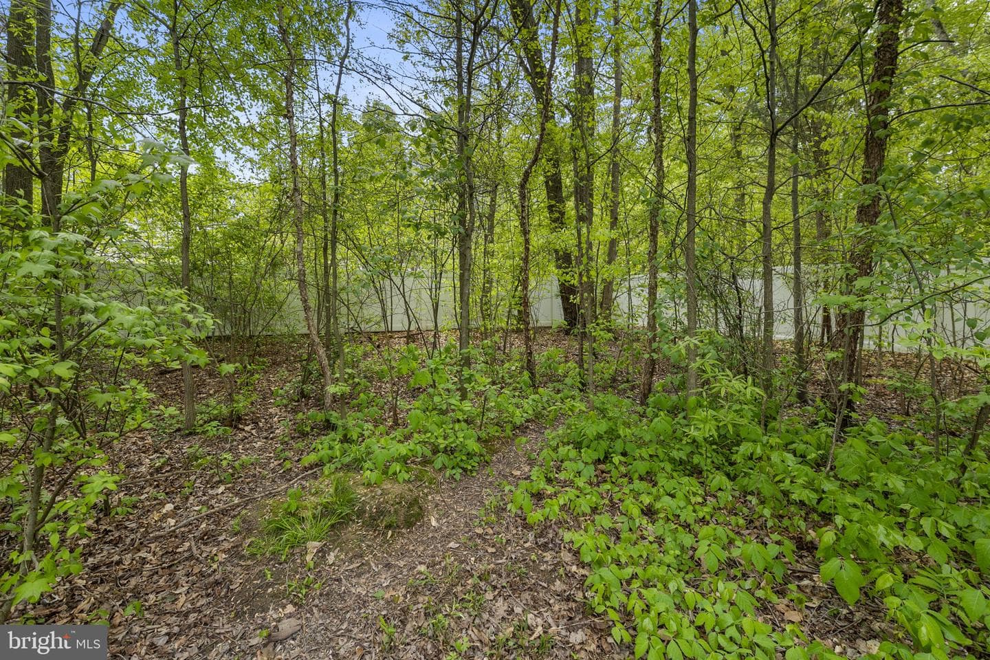 505 Lincoln Drive photo 48