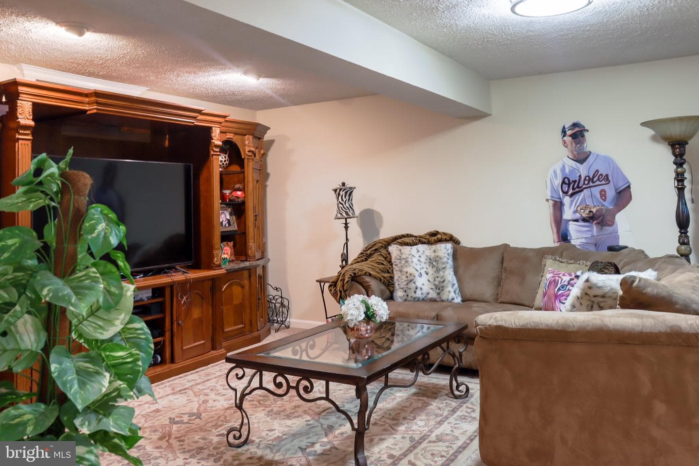 3254 Breckenridge Way photo 36