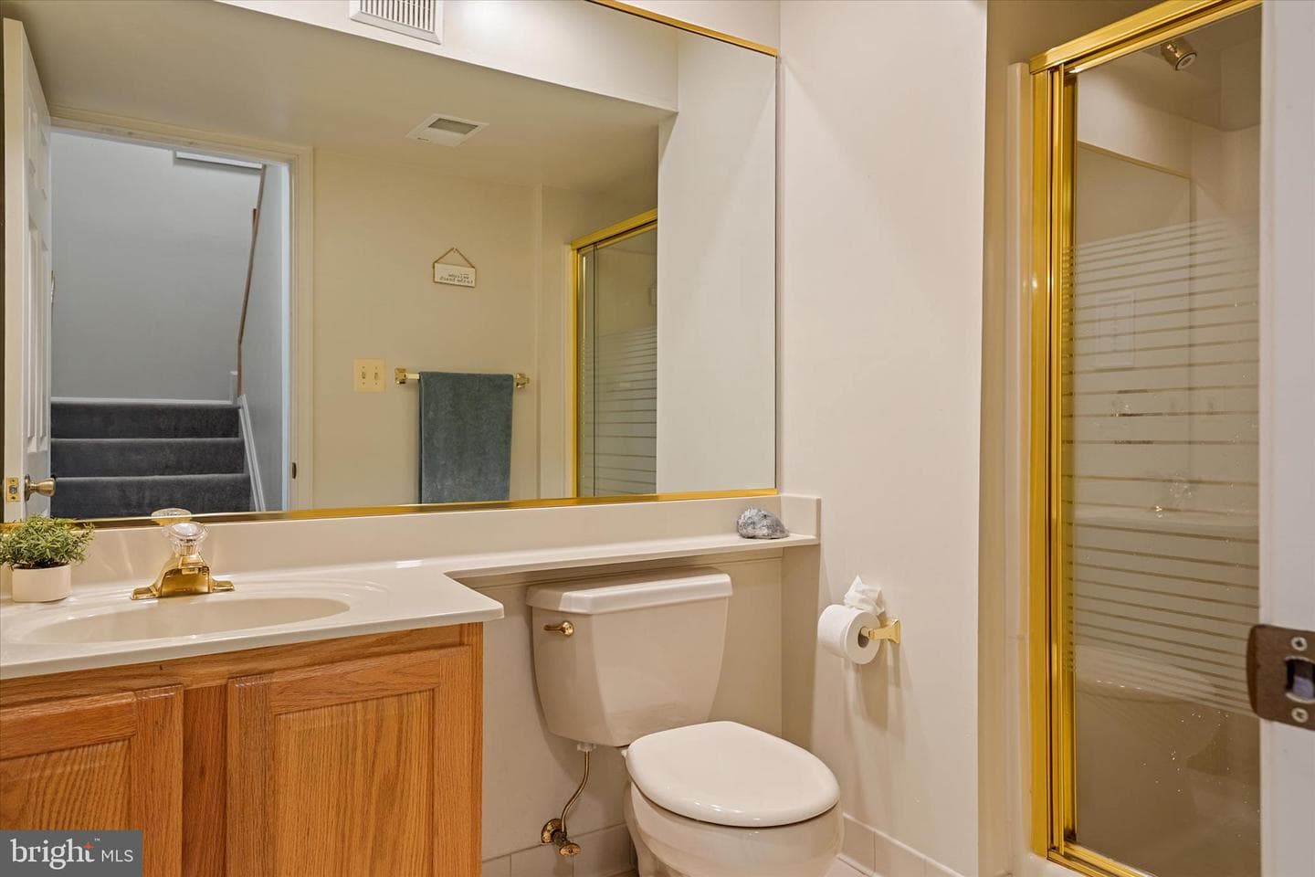 147 Spring Place Way photo 30