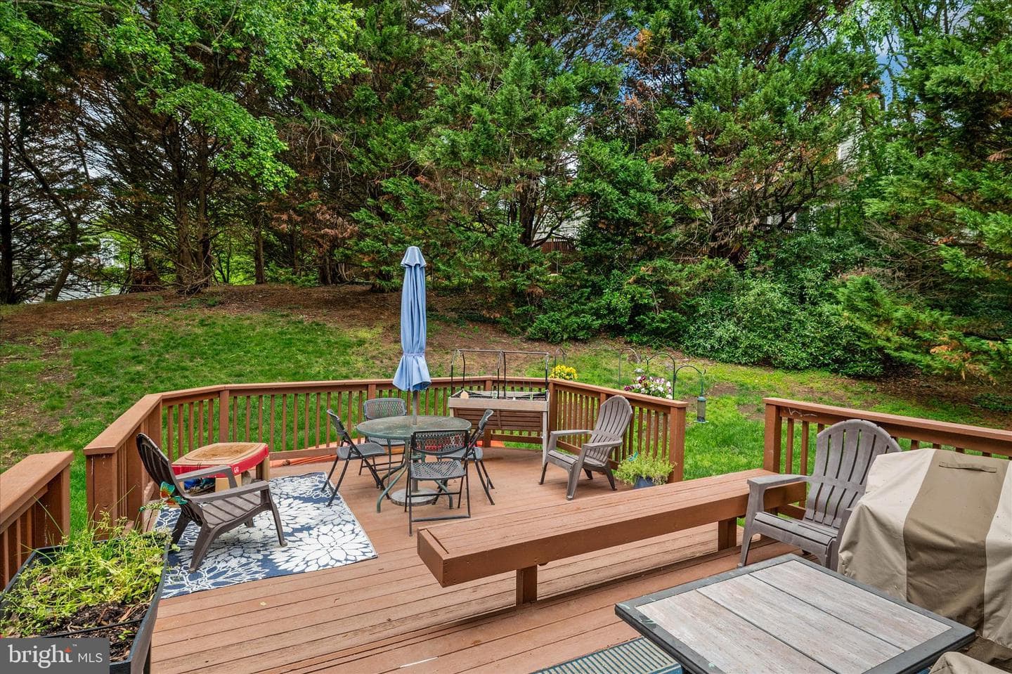 147 Spring Place Way photo 33
