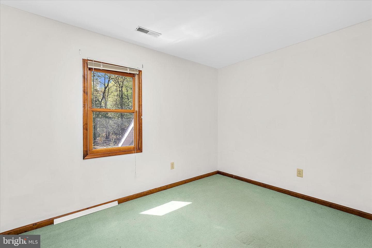 303 Swaying Oak Court photo 37