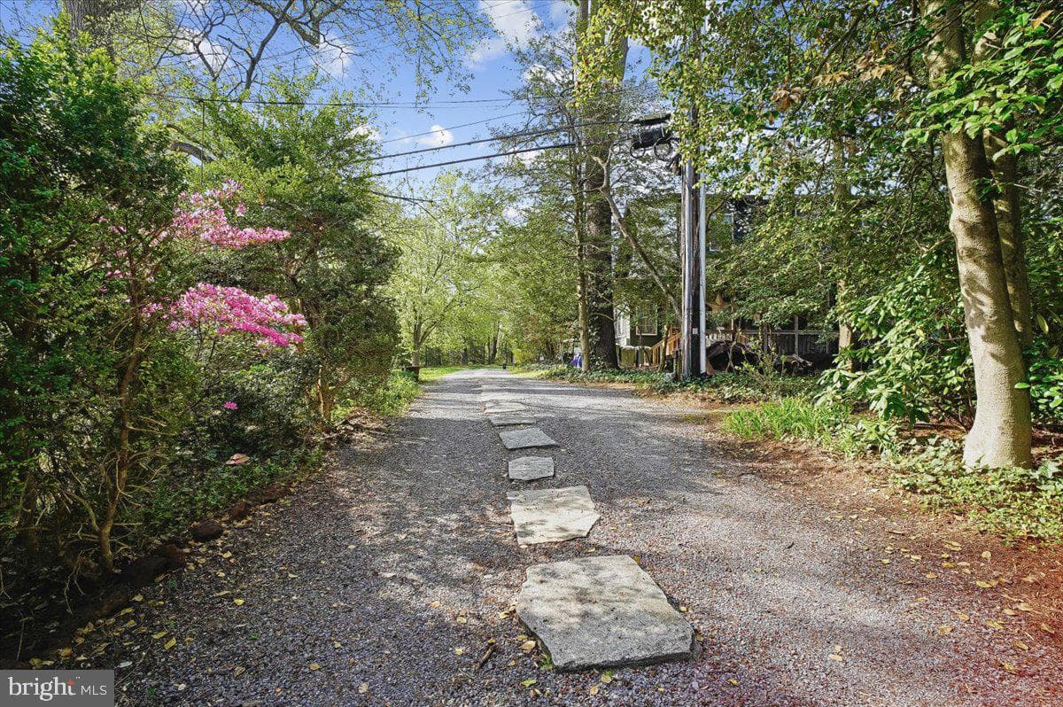 322 Clopston Hill photo 36