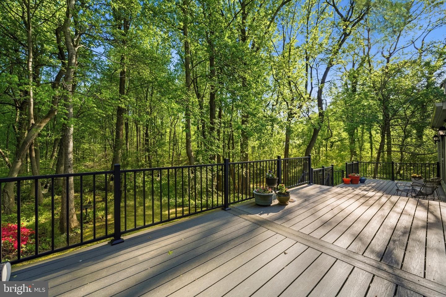 11 Tracys Lane photo 23