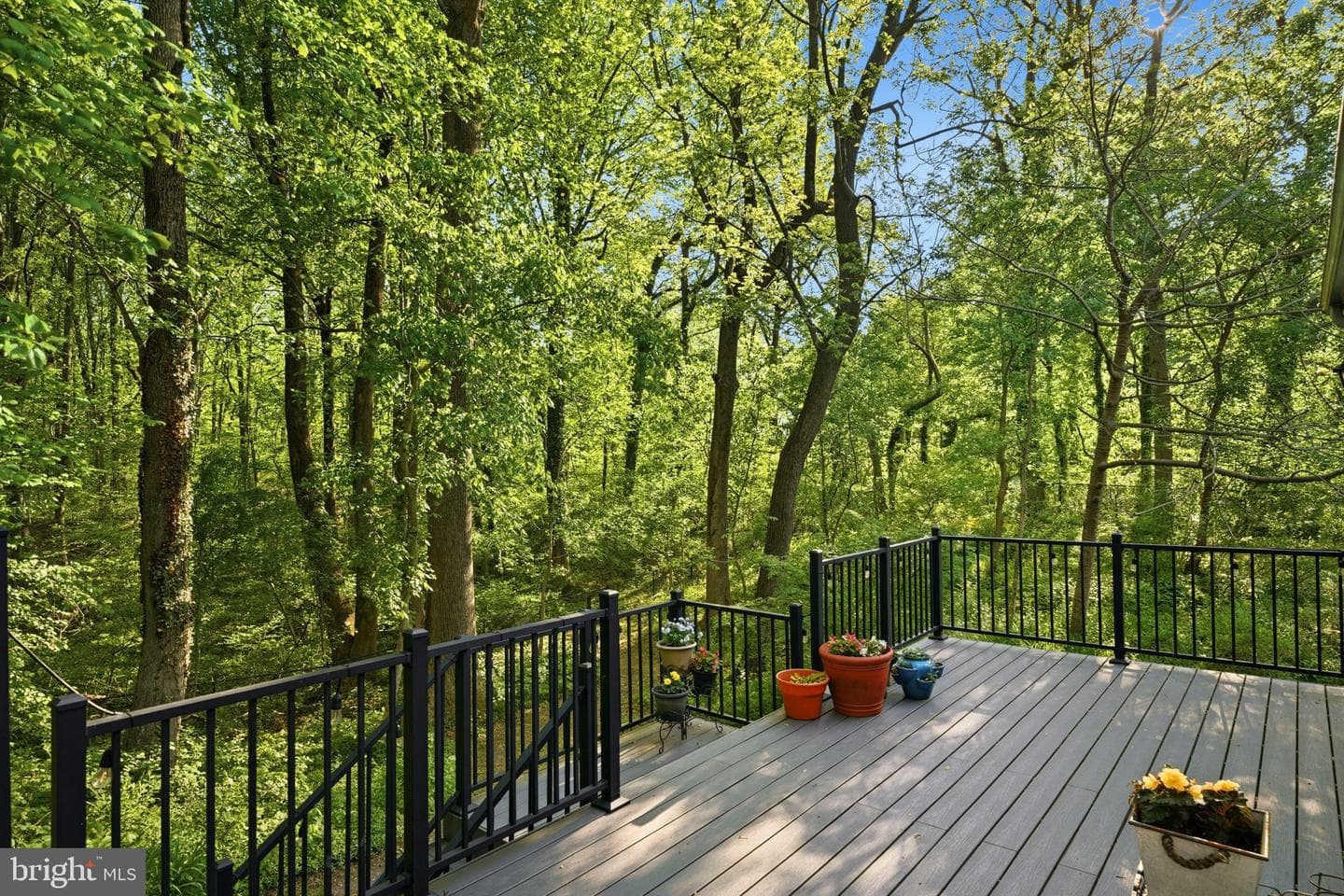 11 Tracys Lane photo 25