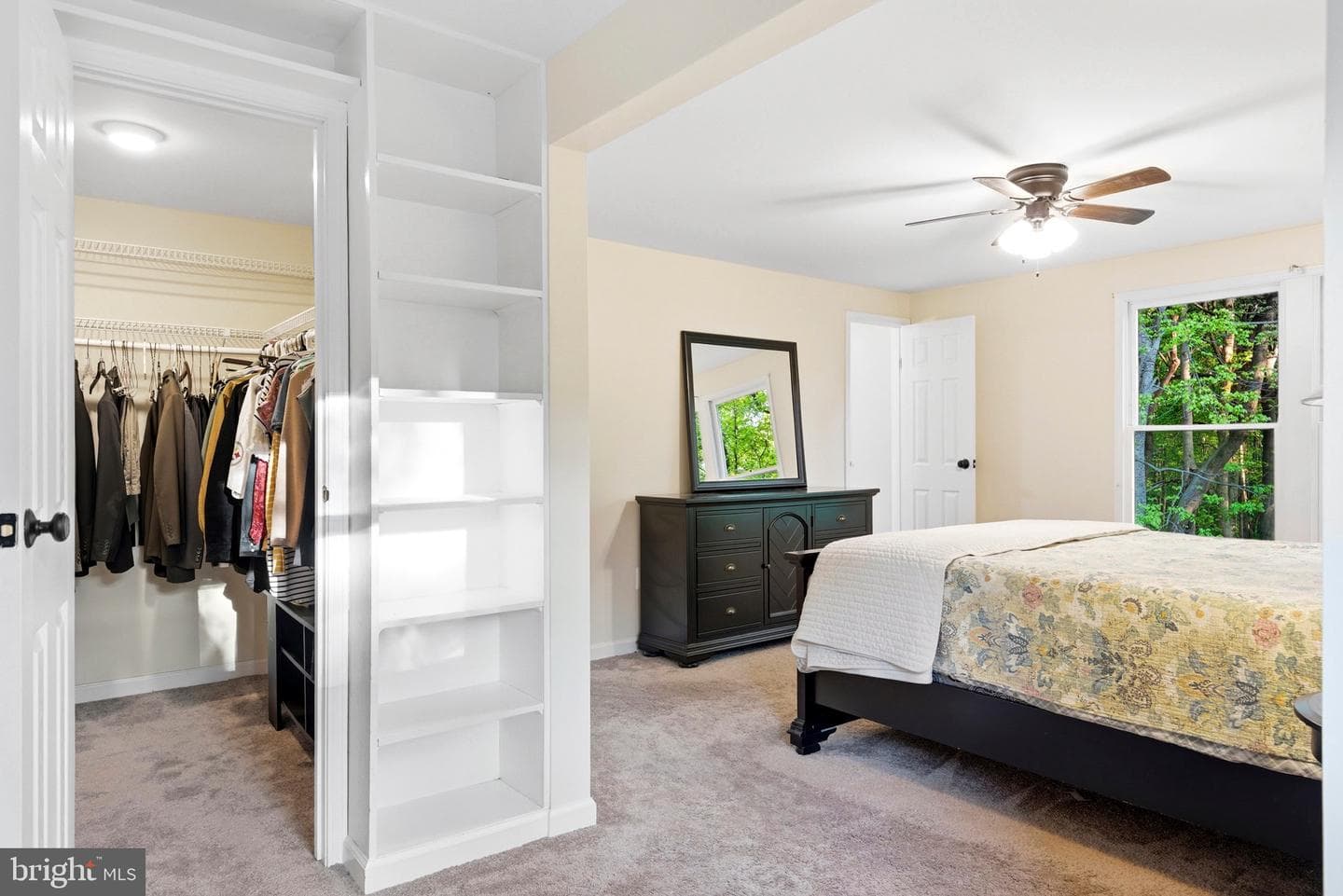 11 Tracys Lane photo 29