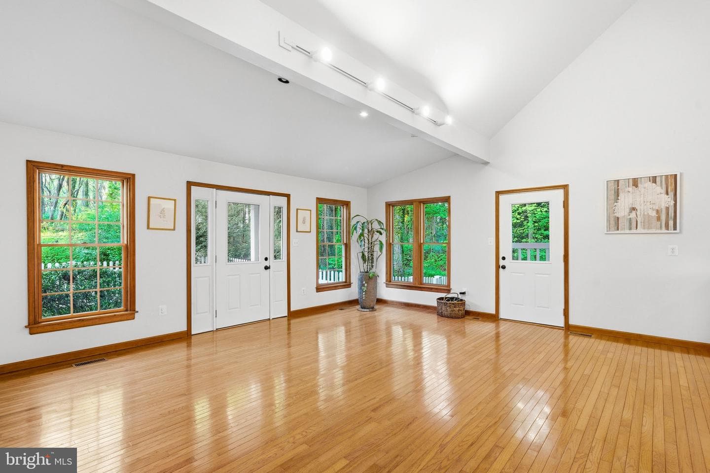 11 Tracys Lane photo 47