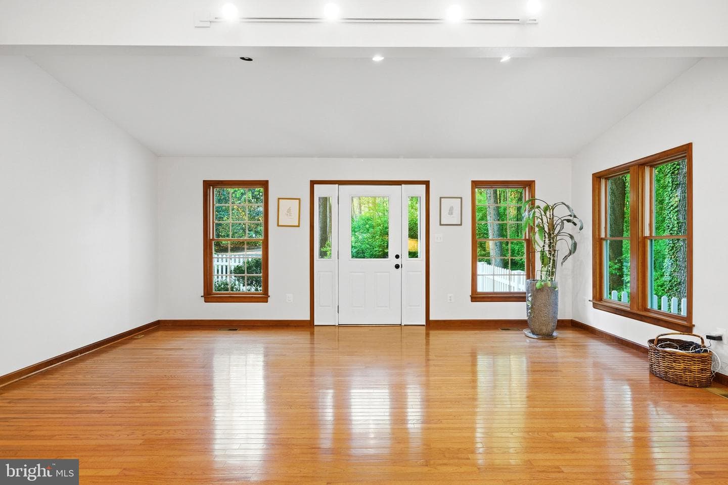 11 Tracys Lane photo 48