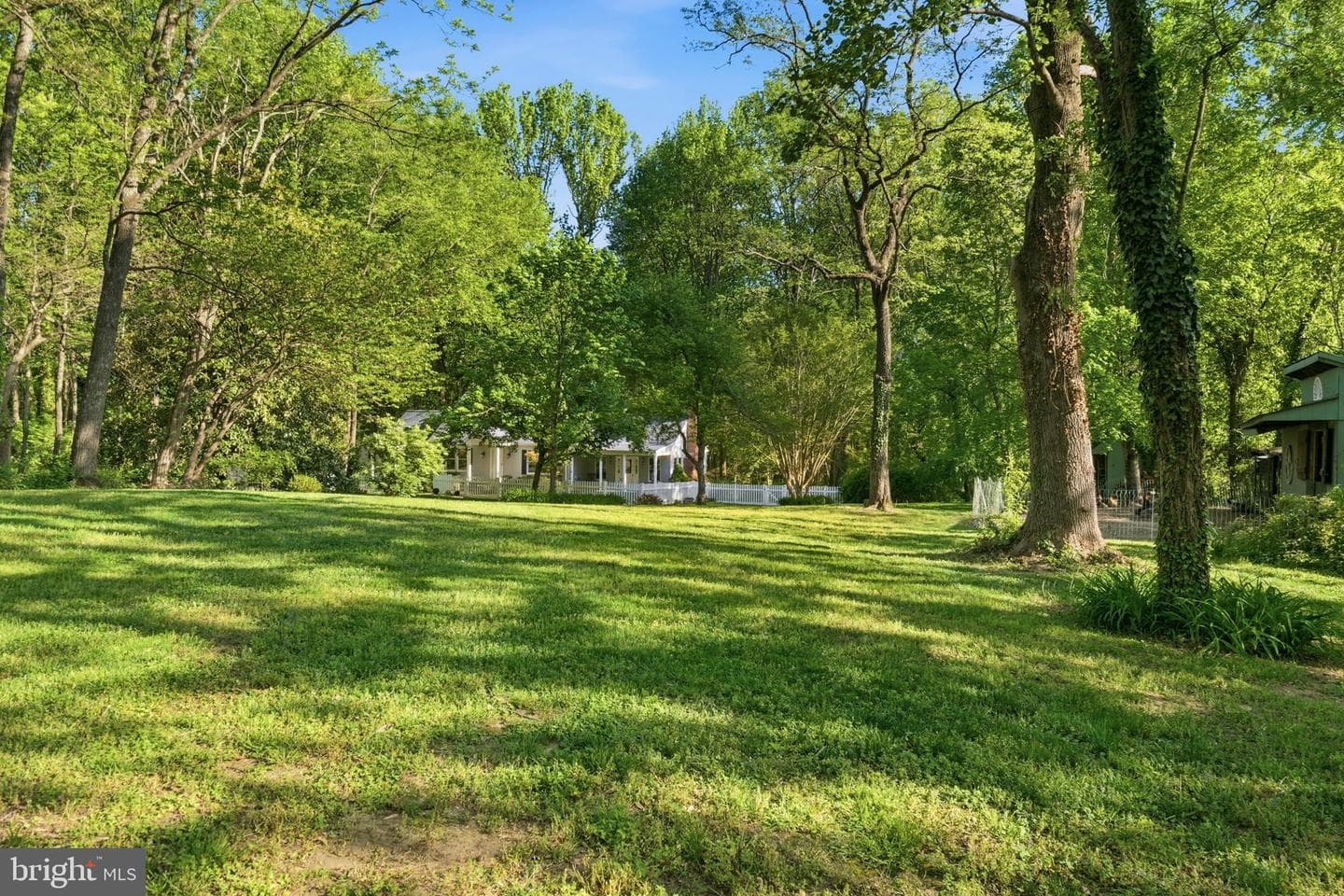 11 Tracys Lane photo 71