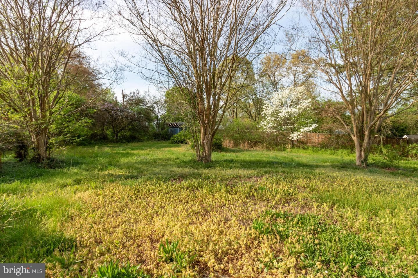 1204 Dicus Mill Road photo 57