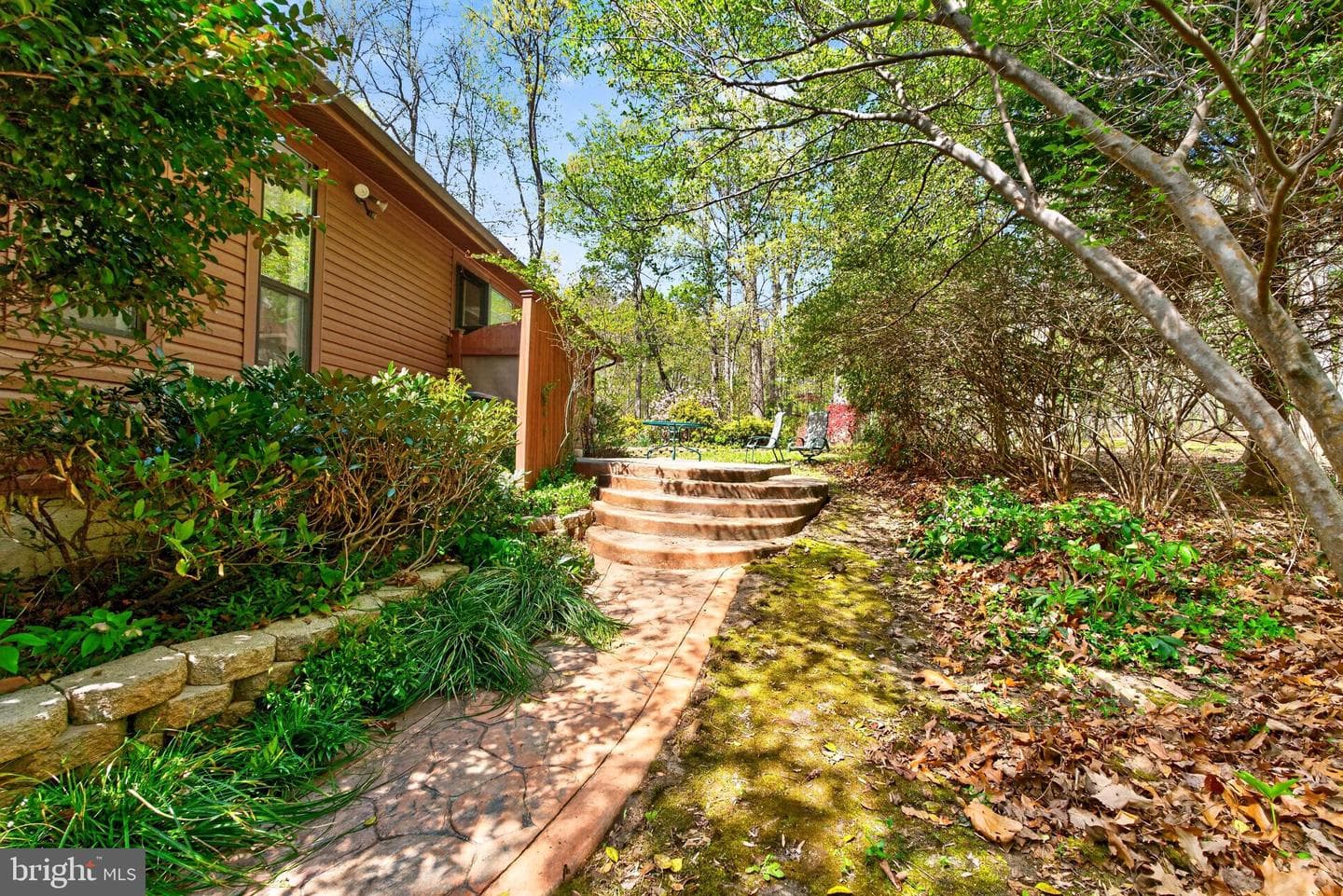 241 Sundew Lane photo 29