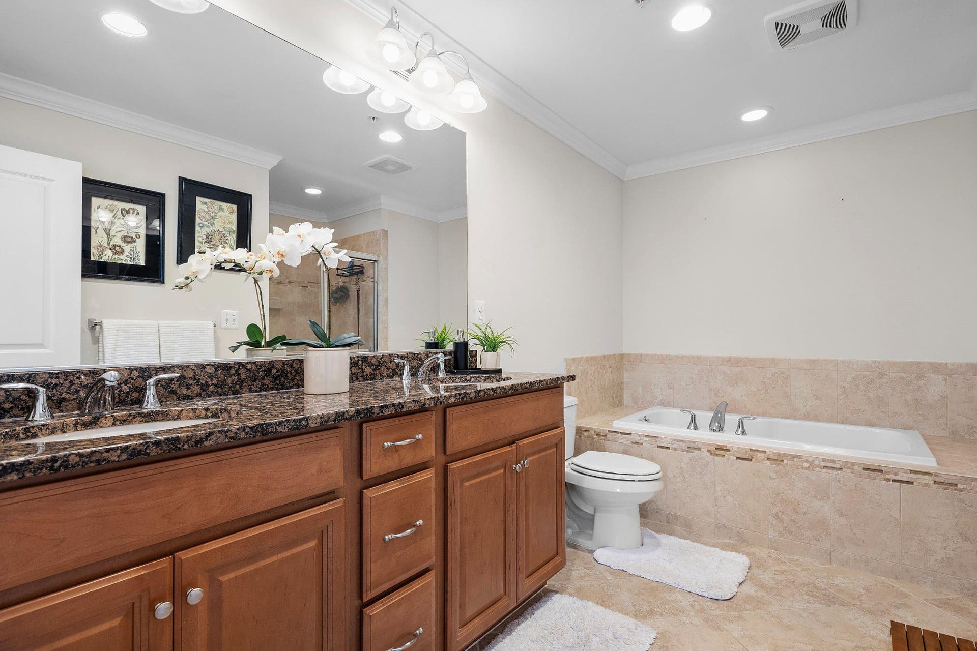 19 Boucher Place photo 24