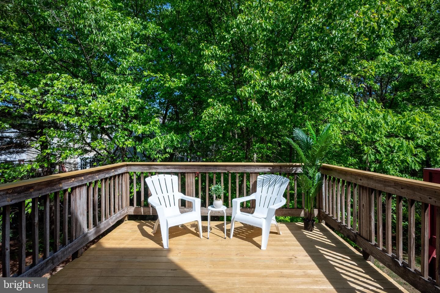 3418 Littleleaf Place photo 2