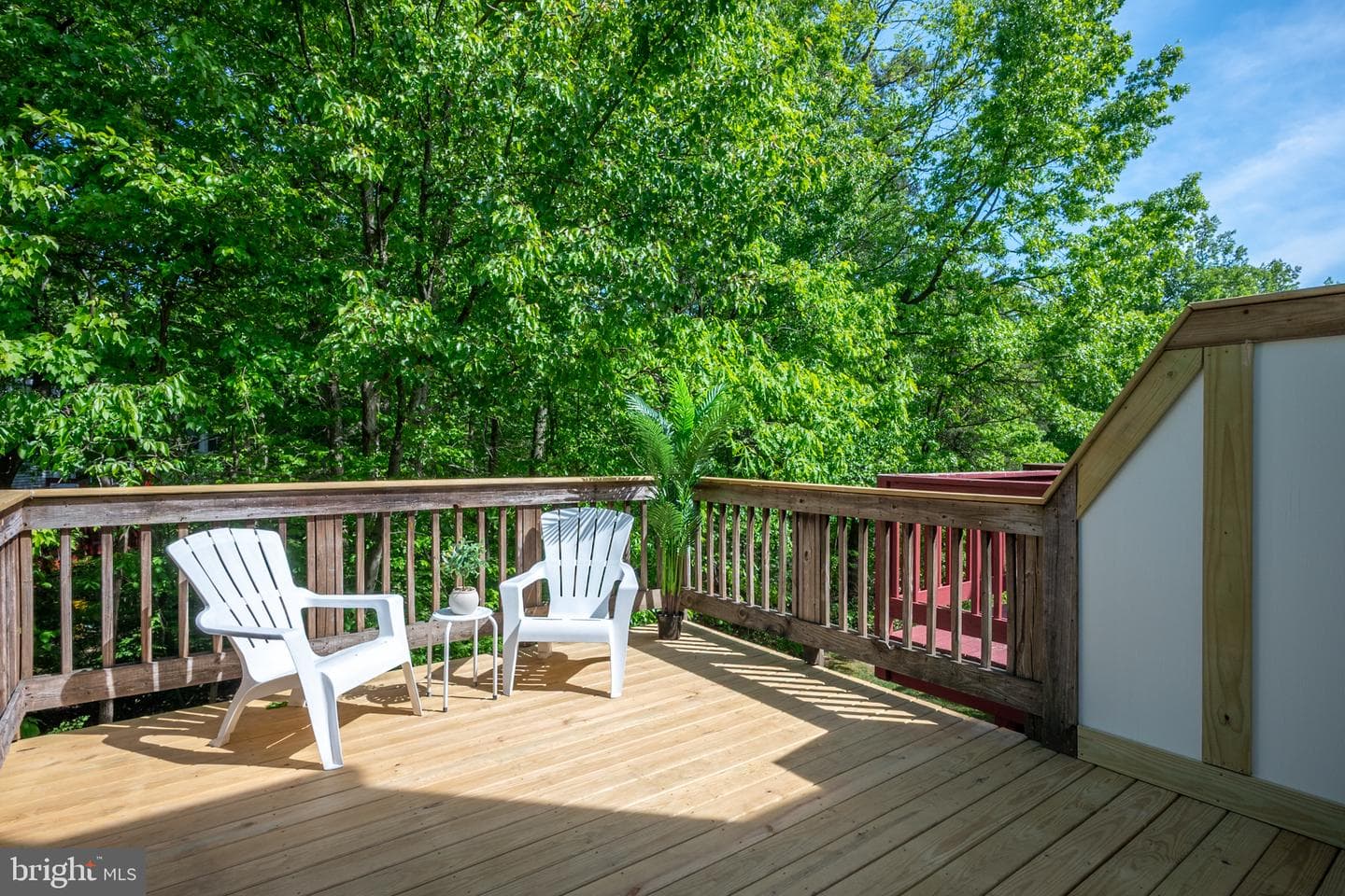 3418 Littleleaf Place photo 24