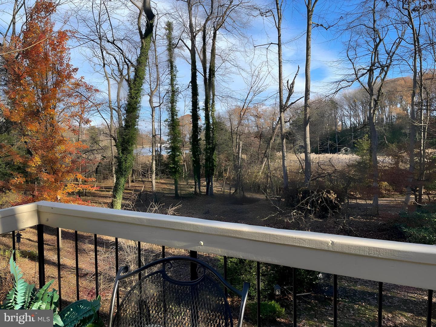 438 Cranes Roost Court photo 19