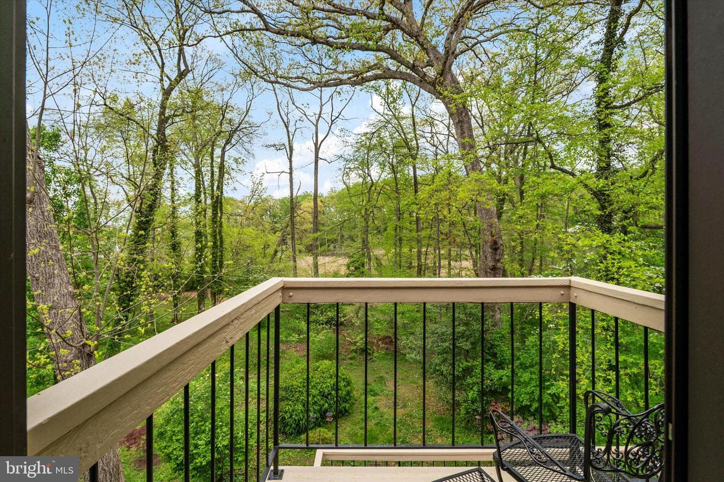 438 Cranes Roost Court photo 23