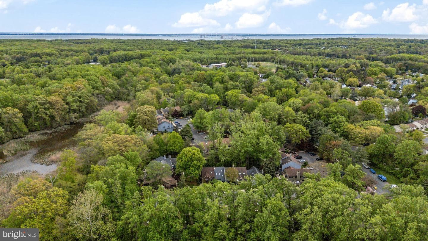 438 Cranes Roost Court photo 42